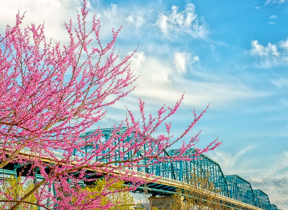 Scenic City 91 art print by Rachel Lee for $57.95 CAD