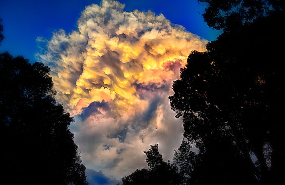 Signal Cloud art print by Rachel Lee for $57.95 CAD