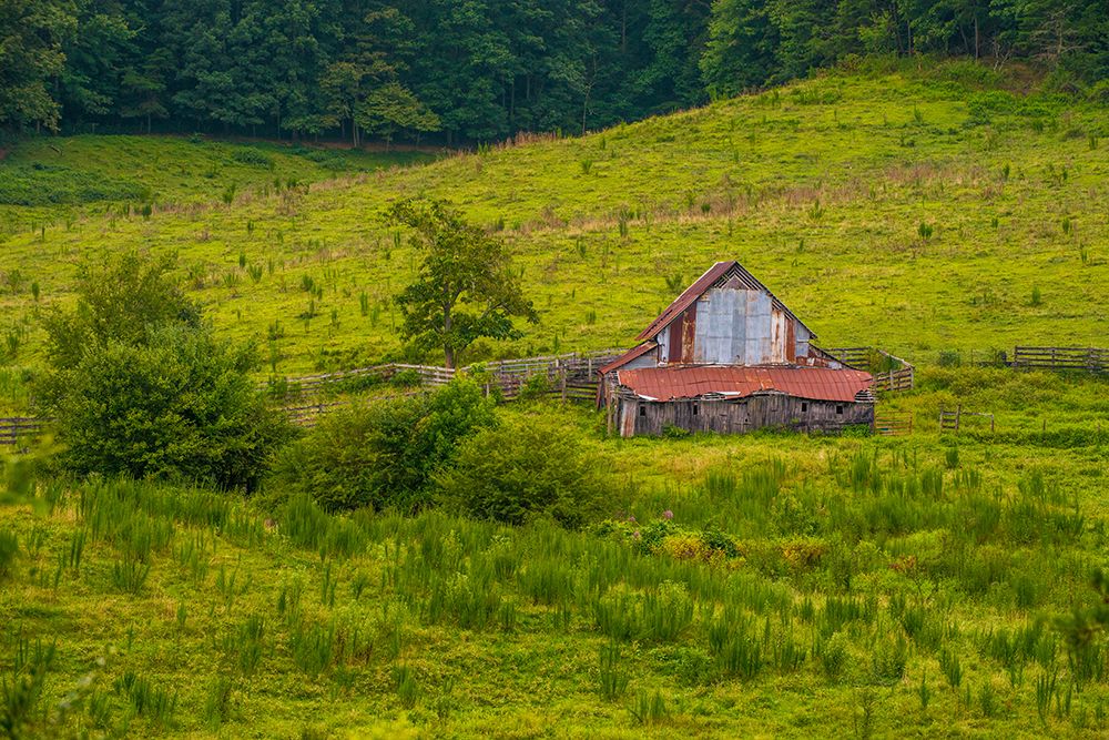 Smokies Barn art print by Rachel Lee for $57.95 CAD