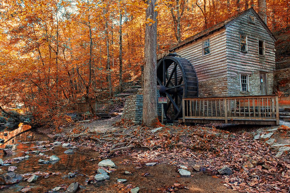 Smokies Grist Mill Fall art print by Rachel Lee for $57.95 CAD