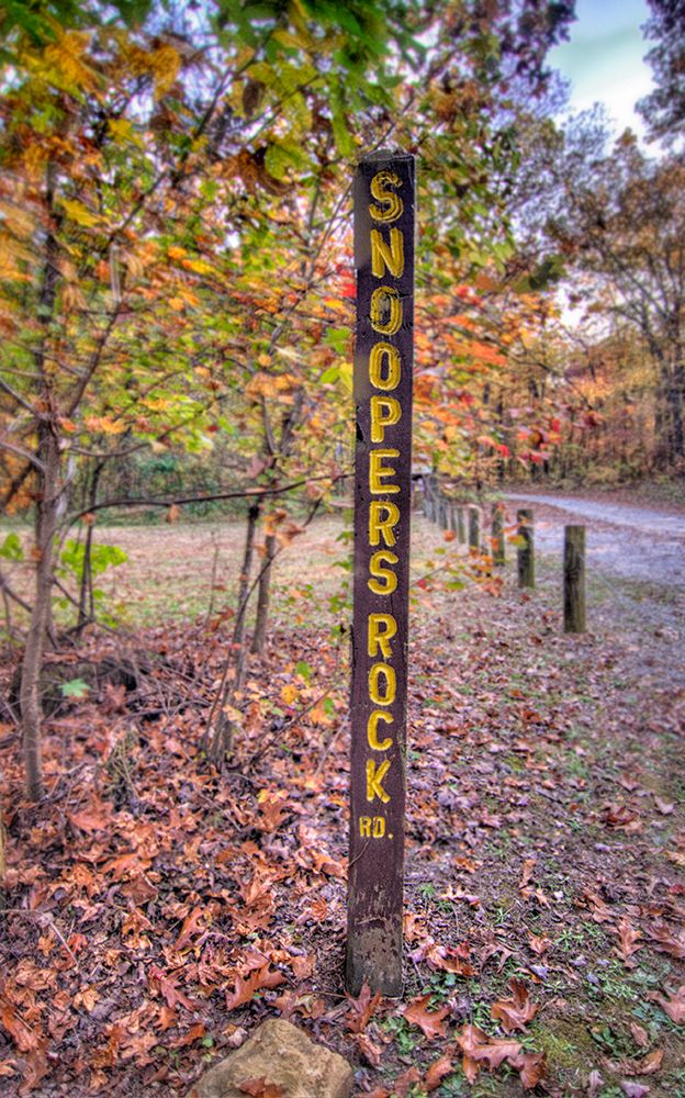 Snoopers Rock Road Sign art print by Rachel Lee for $57.95 CAD