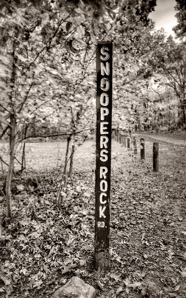 Snoopers Rock Road Sign Sepia art print by Rachel Lee for $57.95 CAD