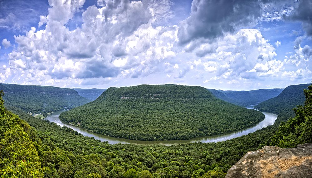Snoopers Rock Summer art print by Rachel Lee for $57.95 CAD