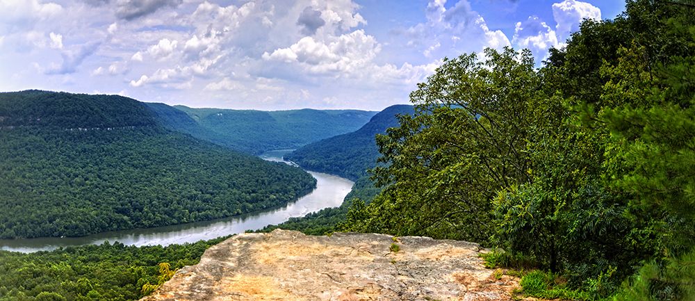 Snoopers Rock Summer 2 art print by Rachel Lee for $57.95 CAD