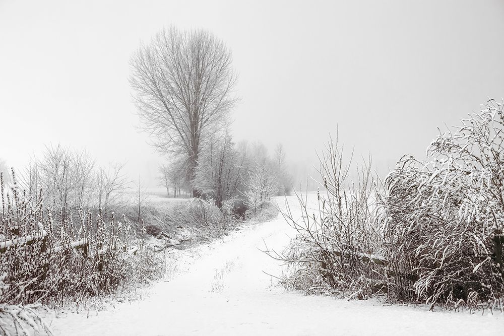 Snowy Farm art print by Rachel Lee for $57.95 CAD