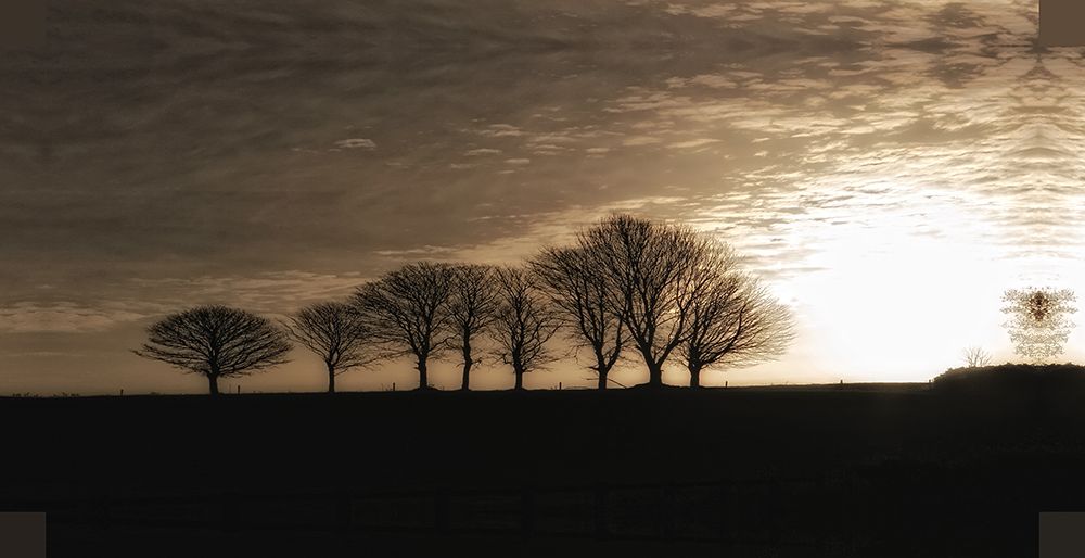 Solitary Trees art print by Rachel Lee for $57.95 CAD