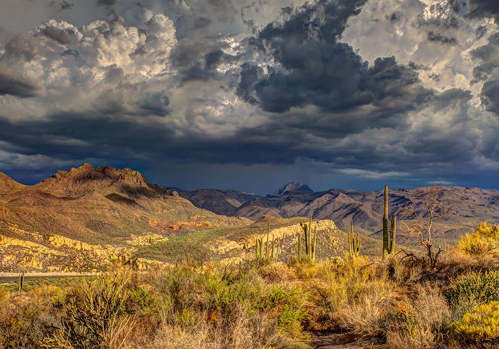 Southwest 7 art print by Rachel Lee for $57.95 CAD