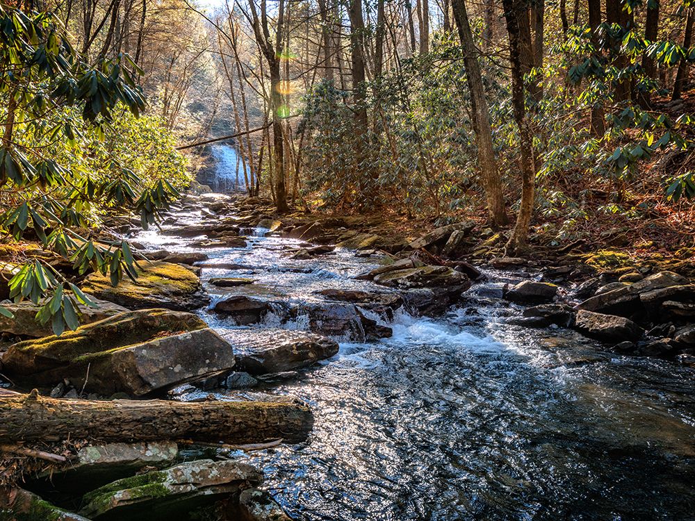 Stinging Fork Creek 1 art print by Rachel Lee for $57.95 CAD