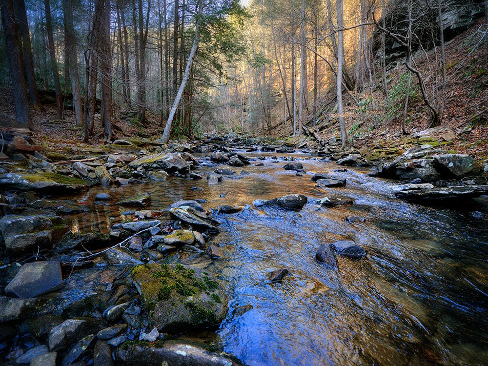 Stinging Fork Creek 2 art print by Rachel Lee for $57.95 CAD