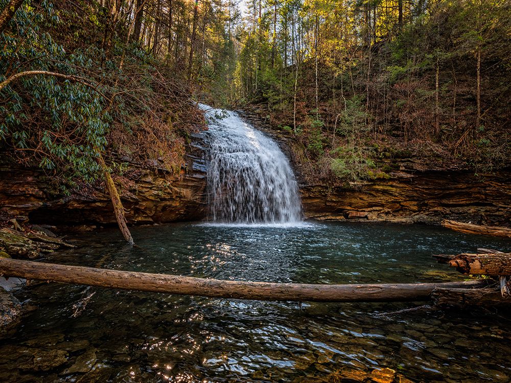 Stinging Fork Falls 1 art print by Rachel Lee for $57.95 CAD