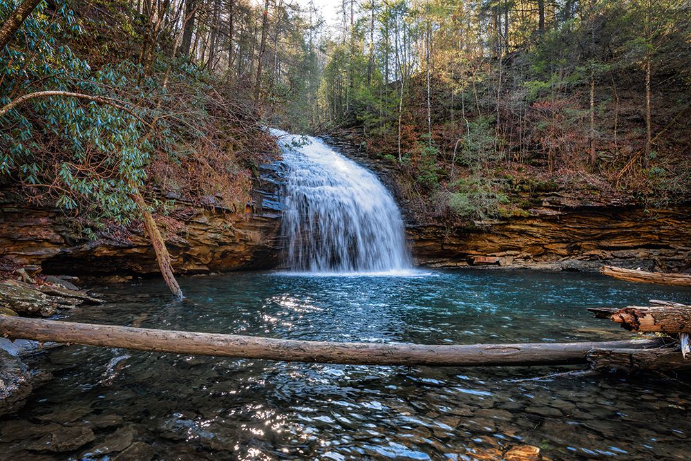Stinging Fork Falls 2 art print by Rachel Lee for $57.95 CAD
