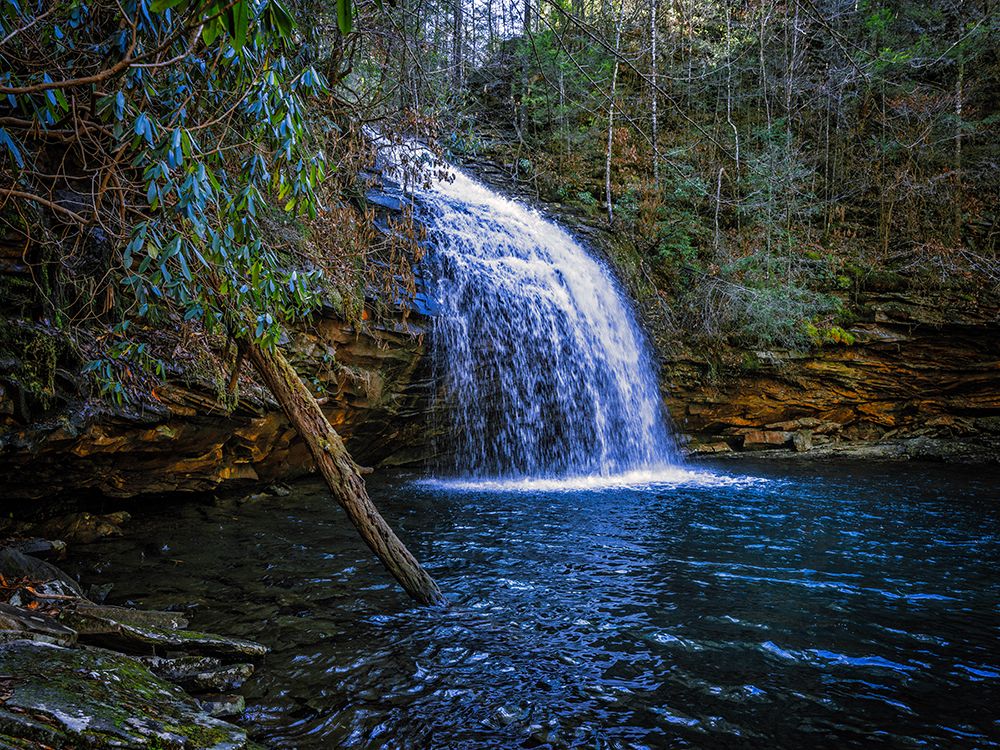 Stinging Fork Falls 3 art print by Rachel Lee for $57.95 CAD