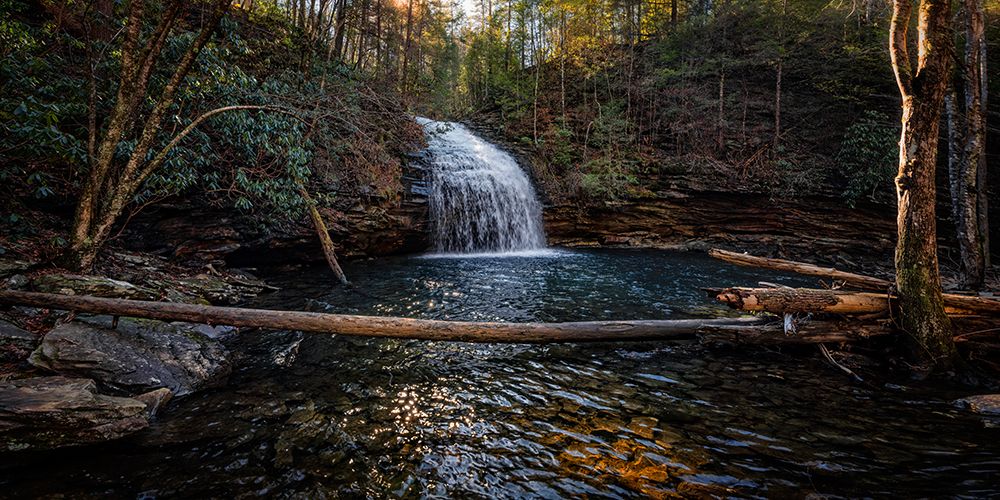 Stinging Fork Falls Pano art print by Rachel Lee for $57.95 CAD