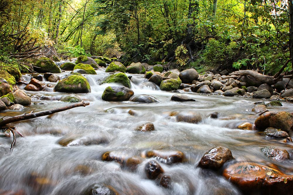 Stream 1 art print by Rachel Lee for $57.95 CAD