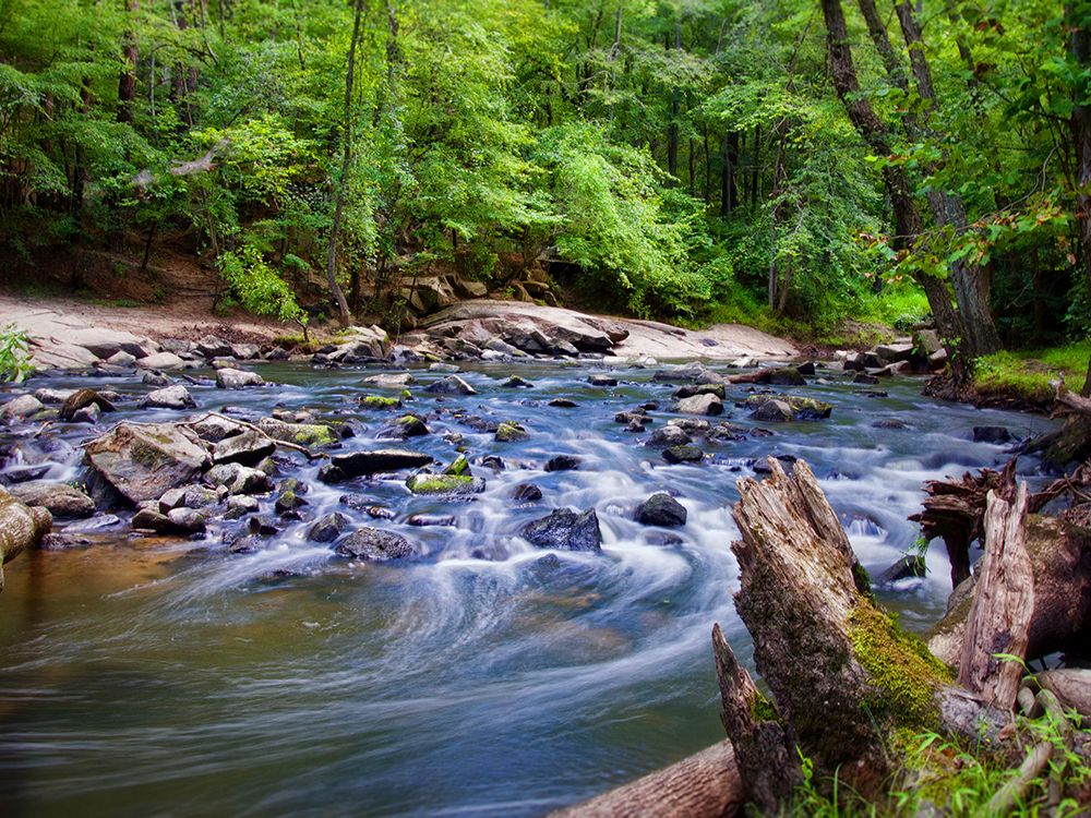 Stream 12 art print by Rachel Lee for $57.95 CAD