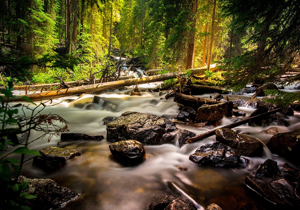 Stream 13 art print by Rachel Lee for $57.95 CAD