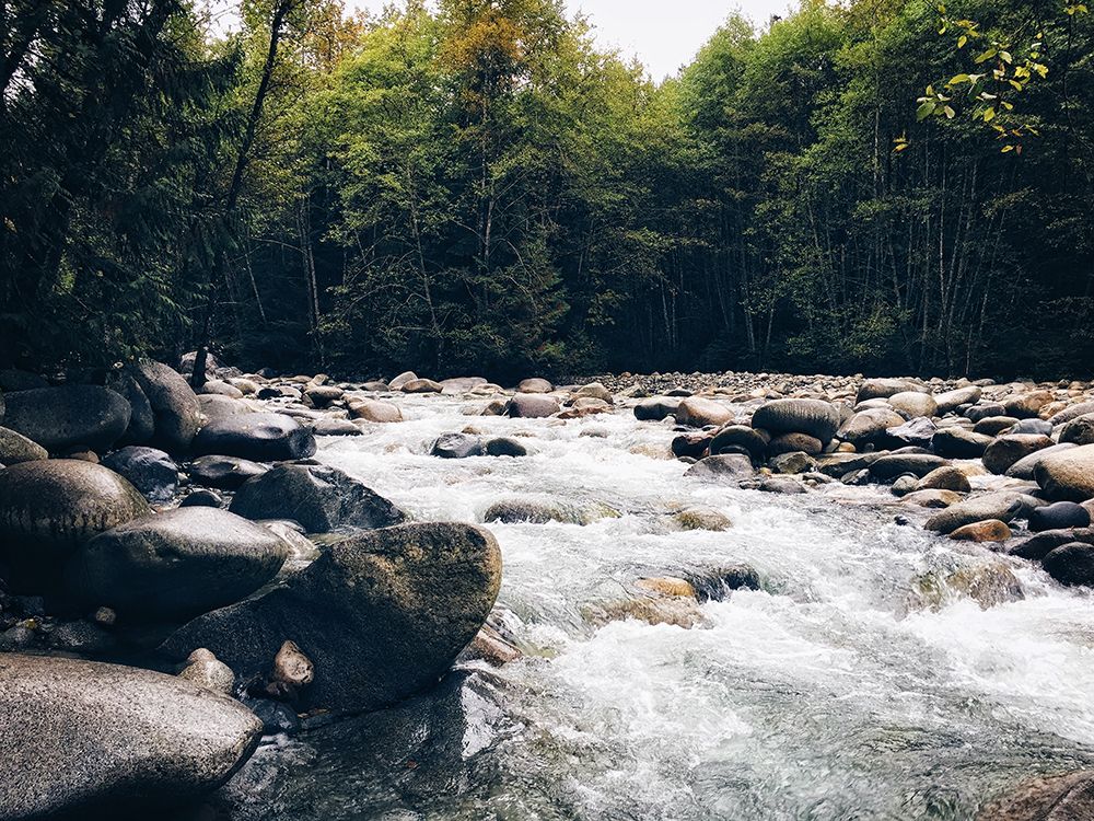 Stream 16 art print by Rachel Lee for $57.95 CAD
