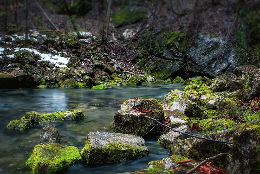 Stream 2 art print by Rachel Lee for $57.95 CAD