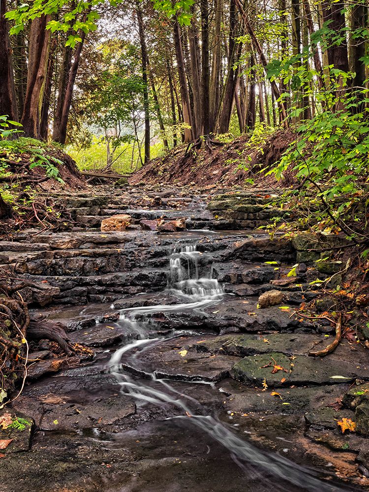 Stream 20 art print by Rachel Lee for $57.95 CAD