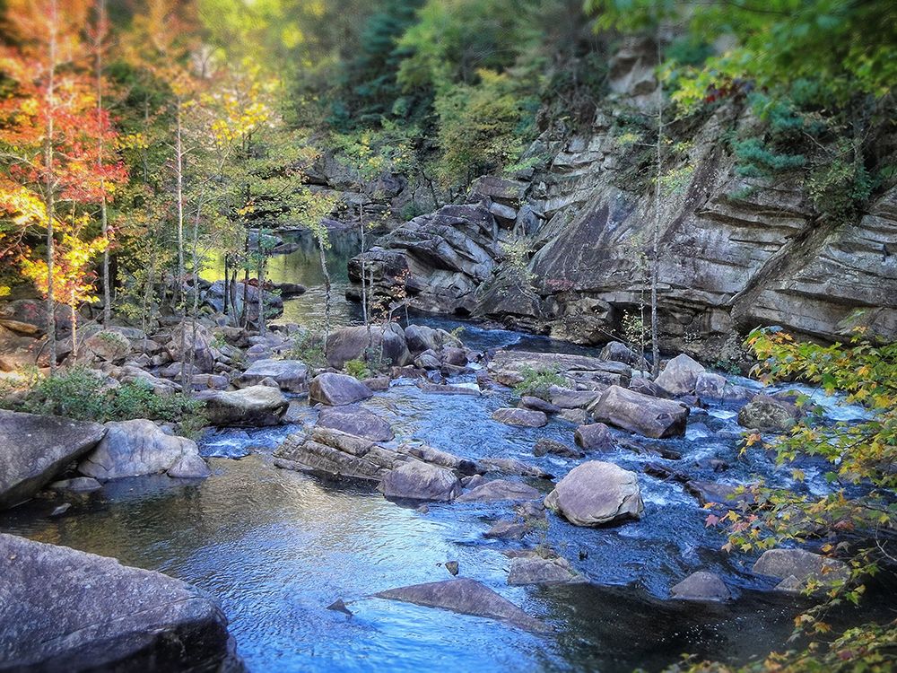 Stream 3 art print by Rachel Lee for $57.95 CAD