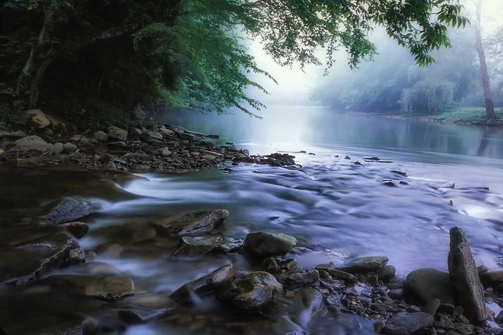 Stream 4 art print by Rachel Lee for $57.95 CAD