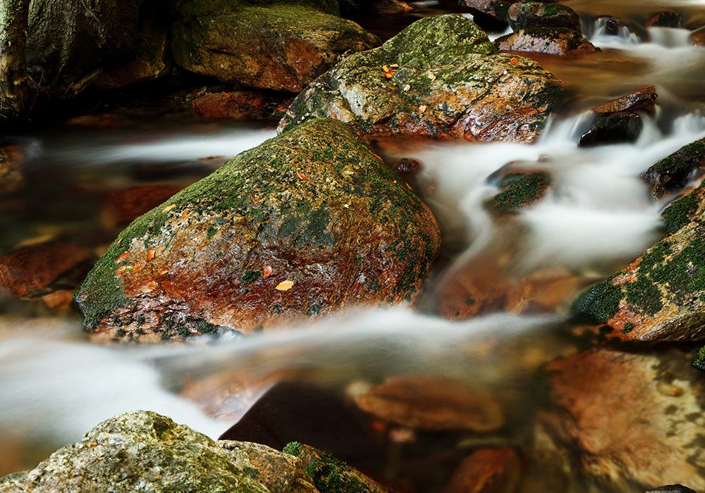 Stream 5 art print by Rachel Lee for $57.95 CAD