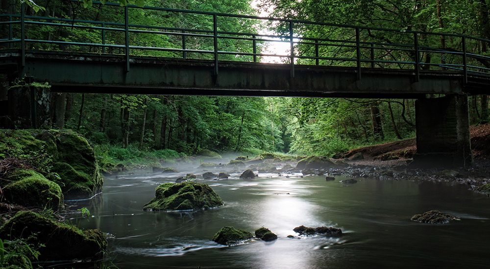 Stream 6 art print by Rachel Lee for $57.95 CAD