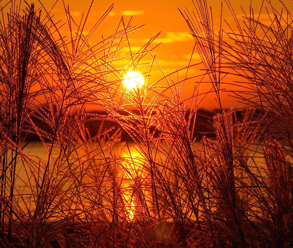 Sunset Lake 3 art print by Rachel Lee for $57.95 CAD