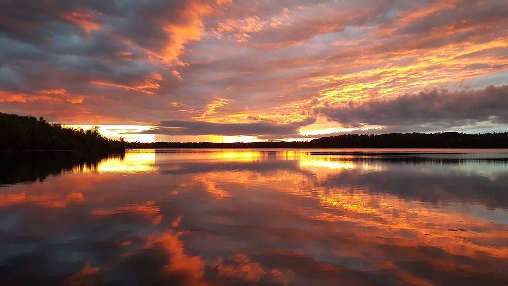 Sunset Lake 4 art print by Rachel Lee for $57.95 CAD