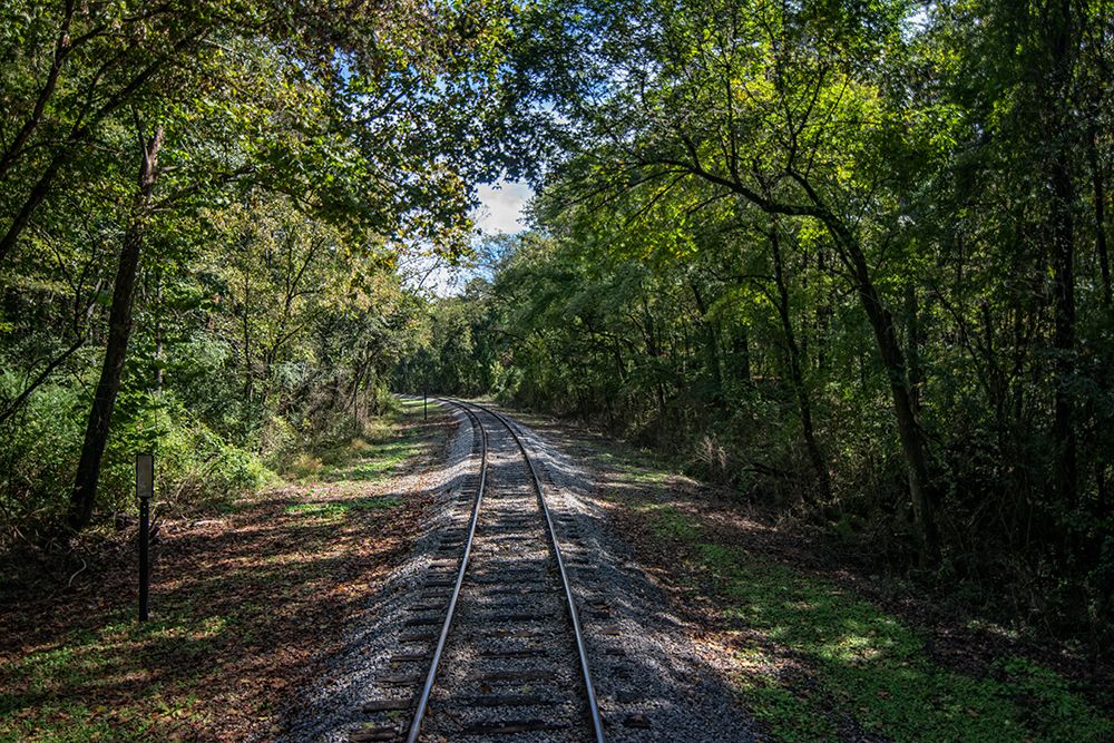 Train Track 1 art print by Rachel Lee for $57.95 CAD