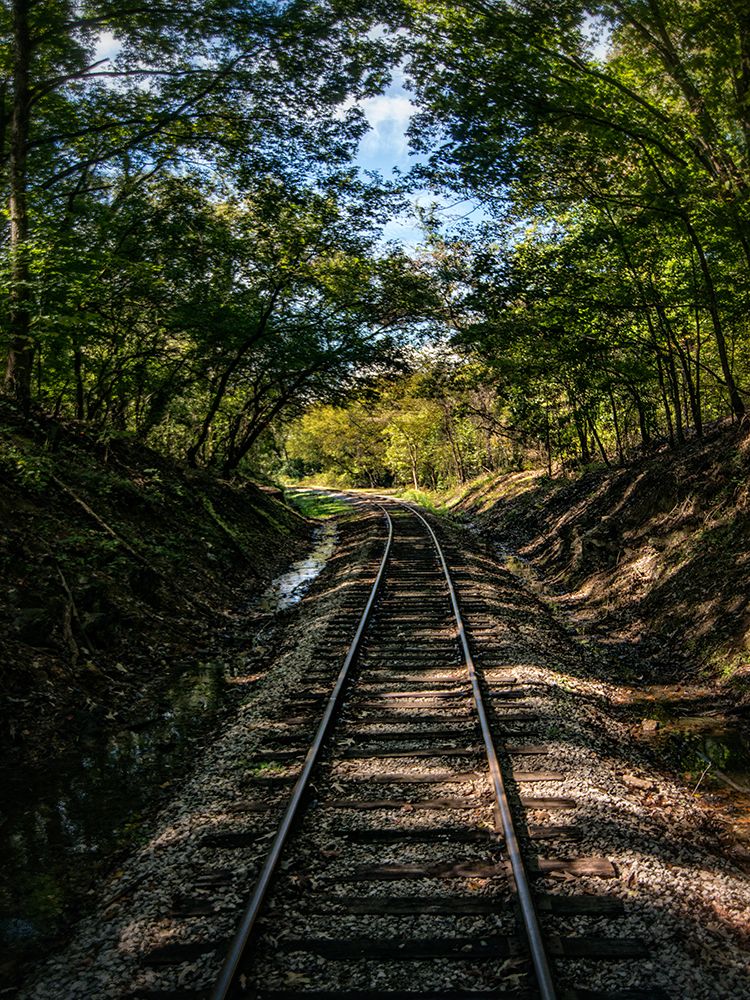 Train Track 2 art print by Rachel Lee for $57.95 CAD