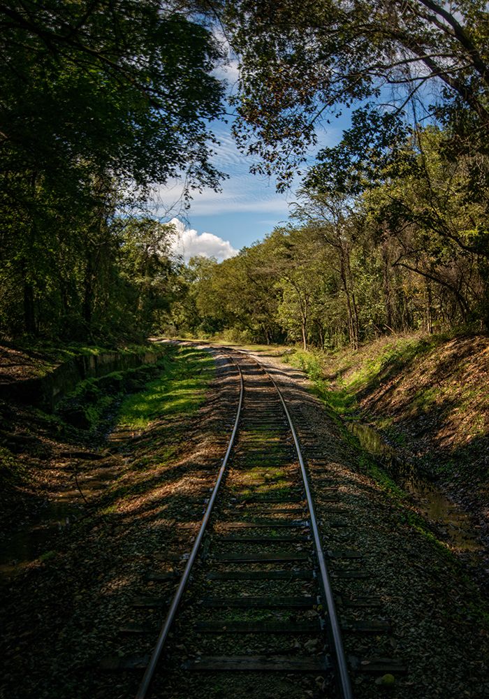 Train Track 3 art print by Rachel Lee for $57.95 CAD