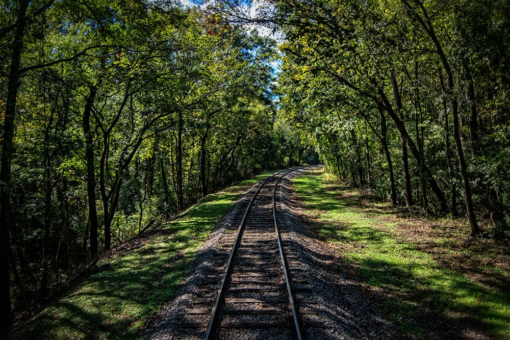 Train Track 5 art print by Rachel Lee for $57.95 CAD