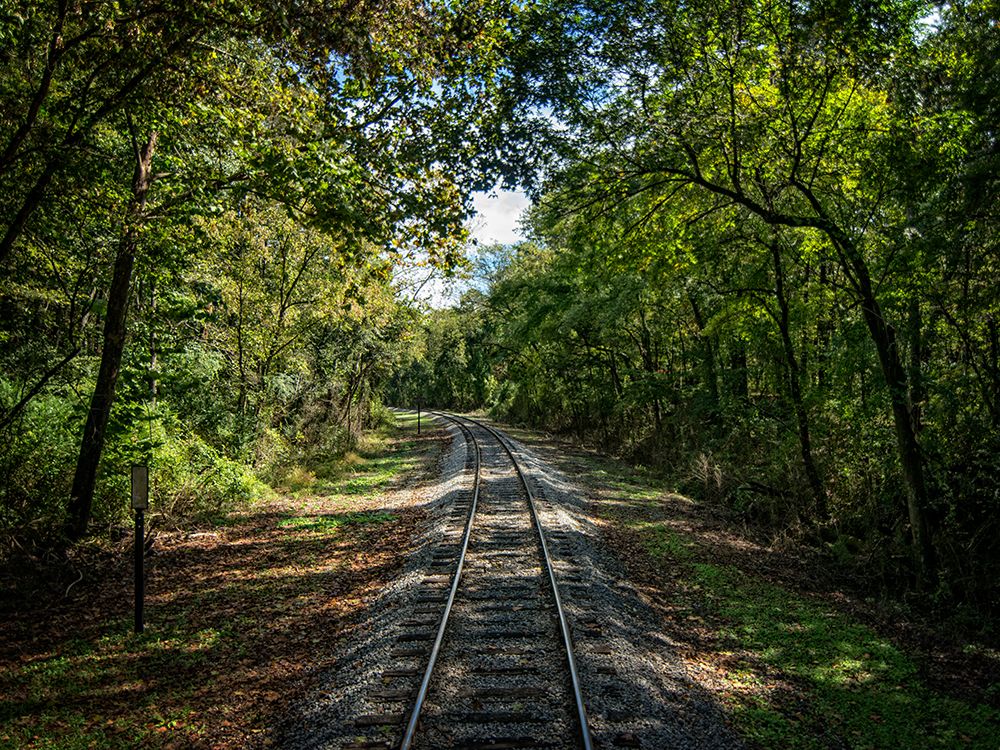 Train Track 6 art print by Rachel Lee for $57.95 CAD