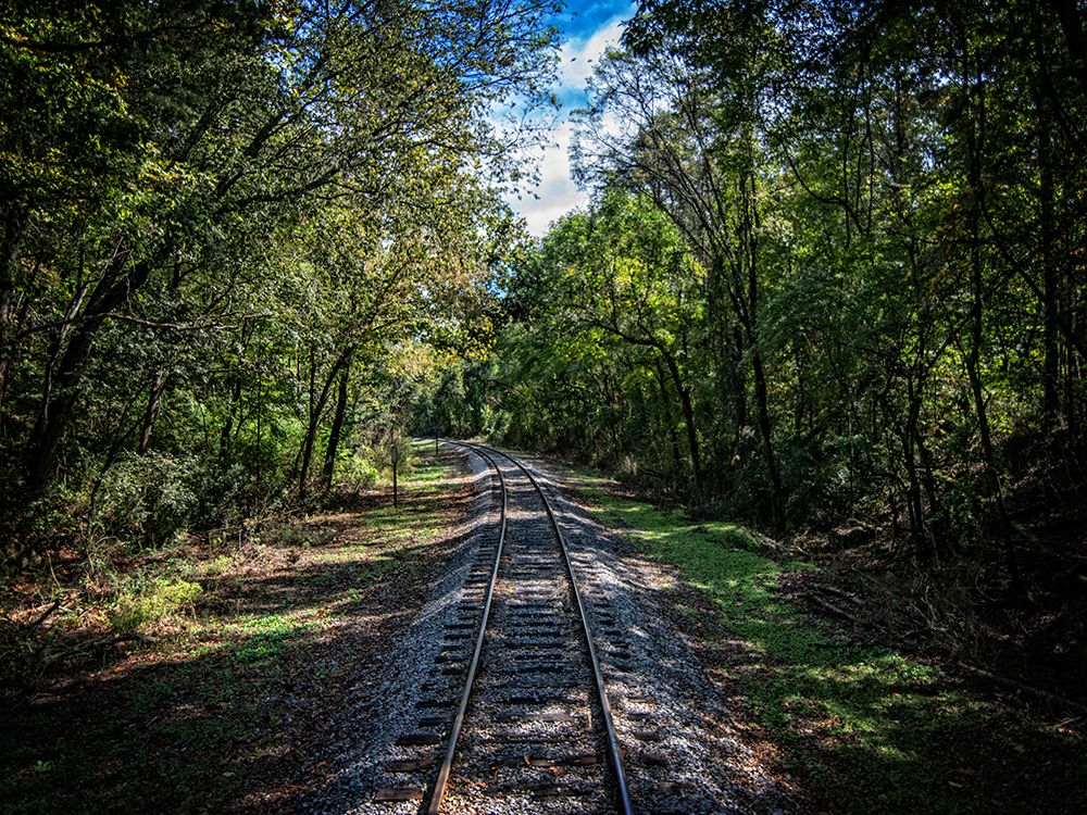 Train Track 7 art print by Rachel Lee for $57.95 CAD