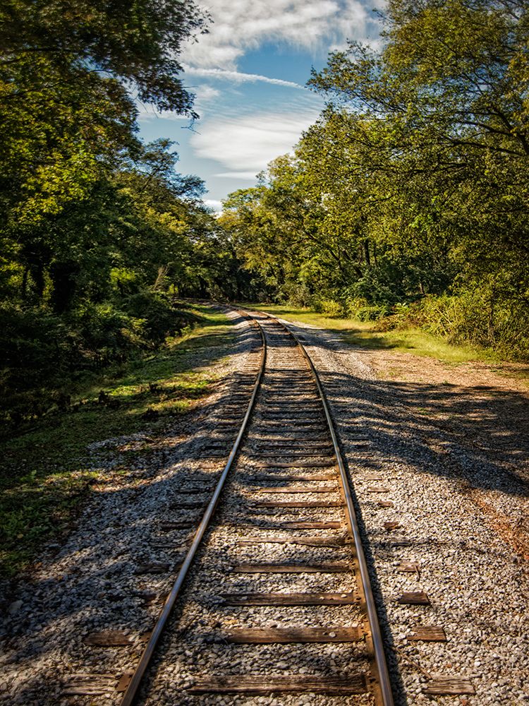 Train Track 8 art print by Rachel Lee for $57.95 CAD