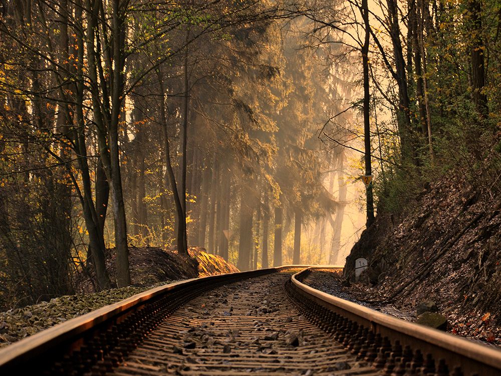 Train Track 9 art print by Rachel Lee for $57.95 CAD