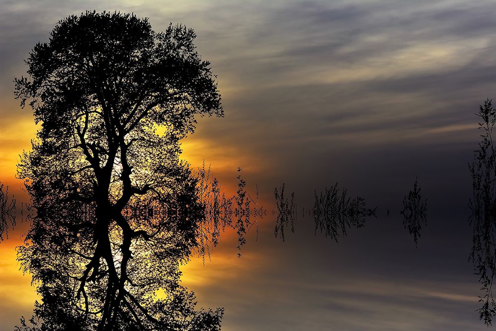 Trees 16 art print by Rachel Lee for $57.95 CAD