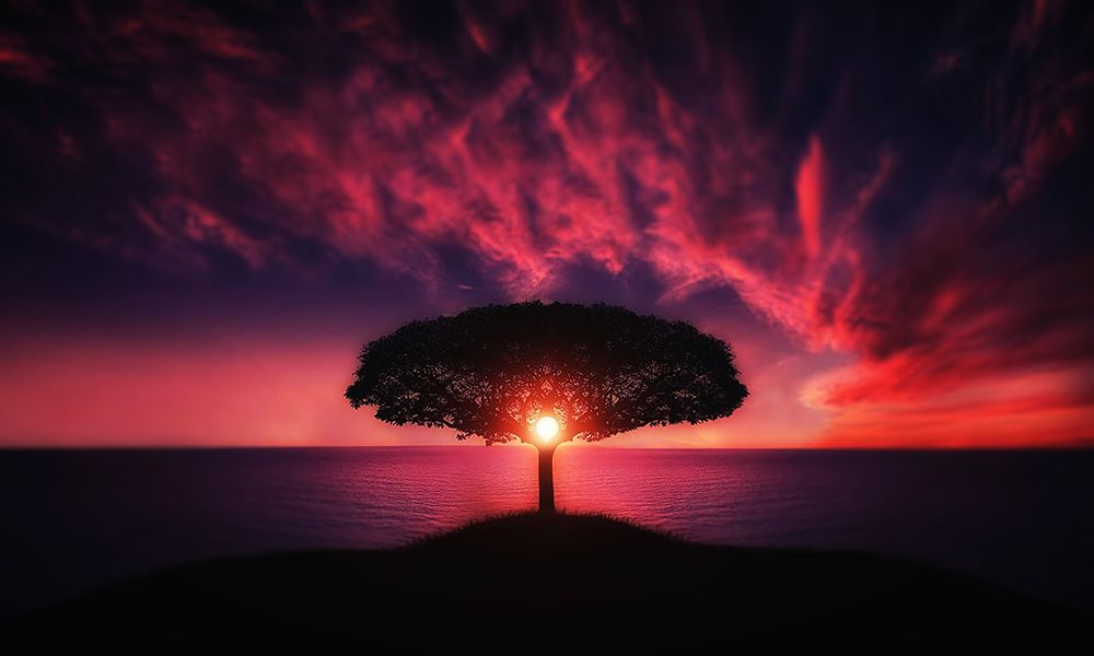 Trees 28 art print by Rachel Lee for $57.95 CAD