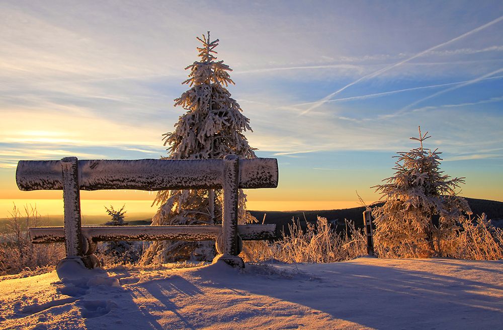 Trees And Bench 1 art print by Rachel Lee for $57.95 CAD