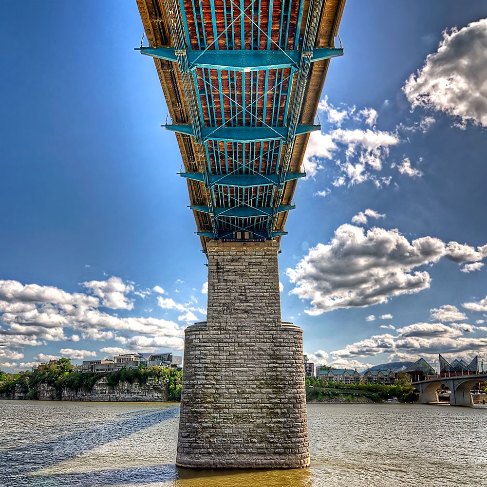 Under Walnut HDR art print by Rachel Lee for $57.95 CAD
