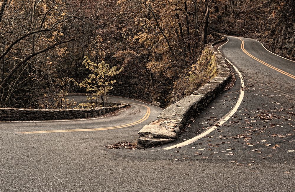 W Road 1 art print by Rachel Lee for $57.95 CAD