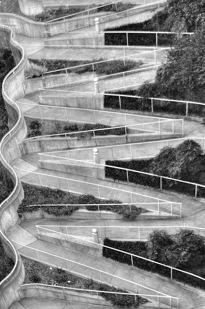 Walk My Way BW art print by Rachel Lee for $57.95 CAD