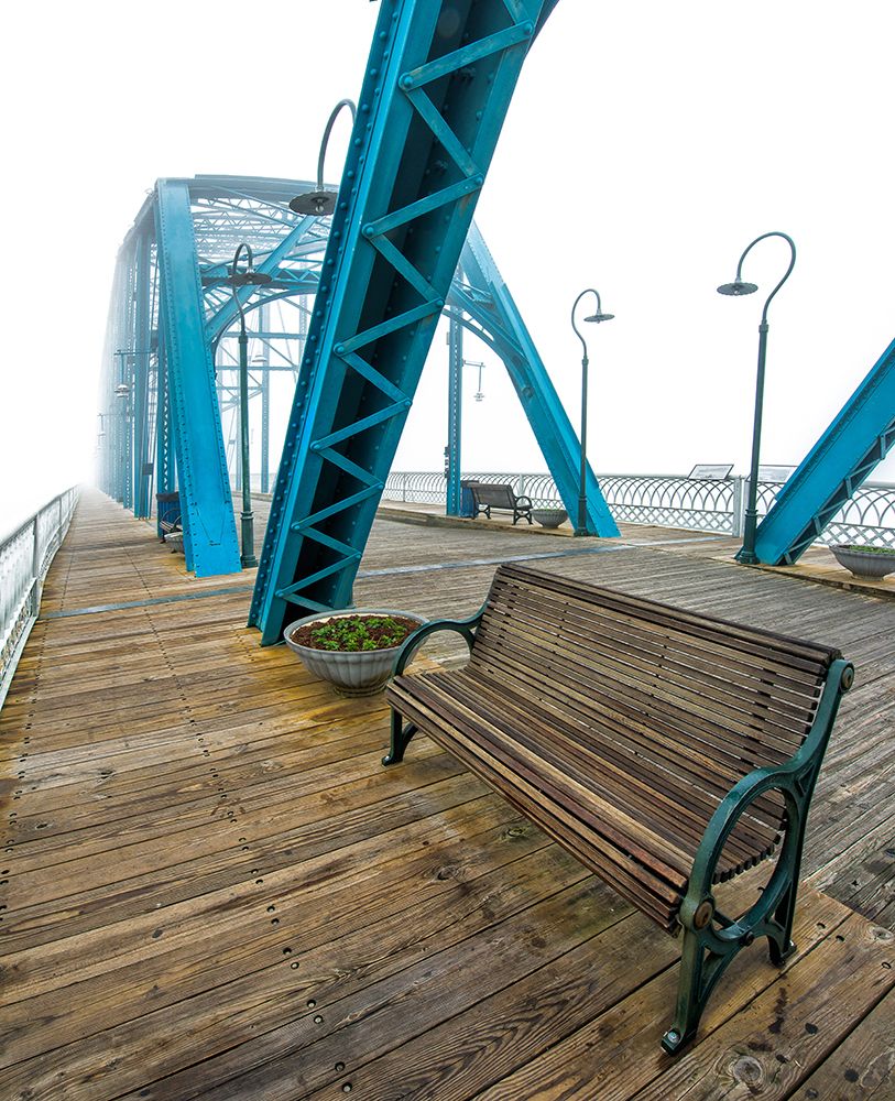 Walnut Bench in Fog art print by Rachel Lee for $57.95 CAD