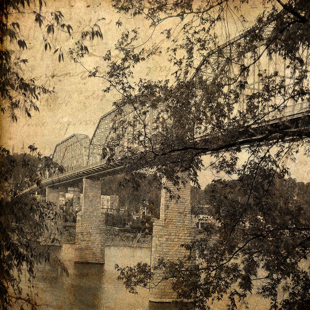 Walnut From South Textured art print by Rachel Lee for $57.95 CAD