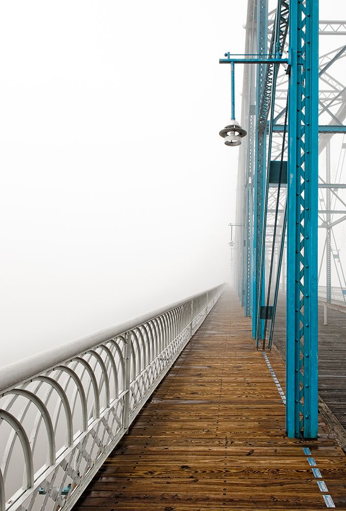 Walnut in Fog Left art print by Rachel Lee for $57.95 CAD