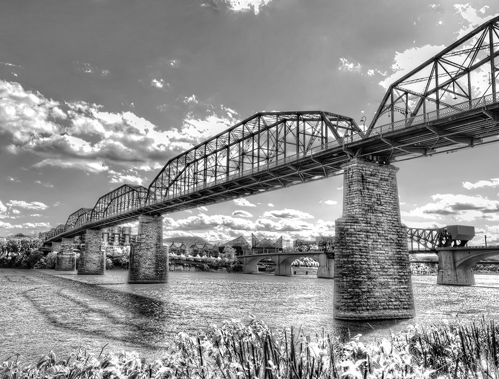 Walnut Left 2 HDR BW art print by Rachel Lee for $57.95 CAD