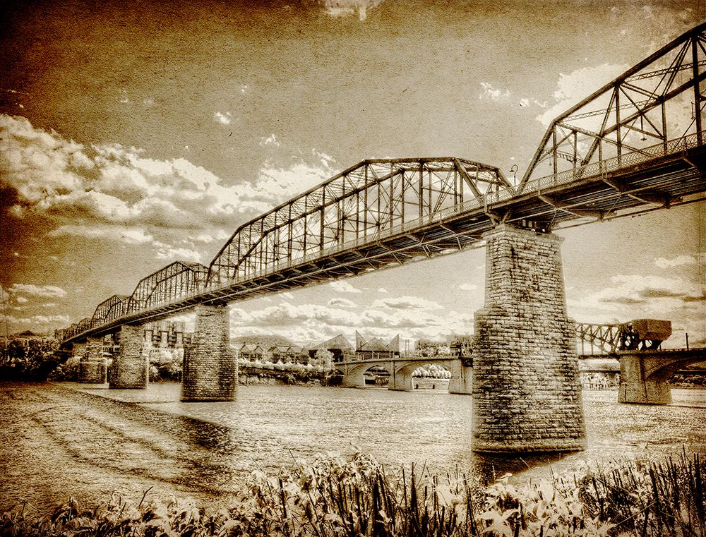 Walnut Left 2 HDR Textured art print by Rachel Lee for $57.95 CAD
