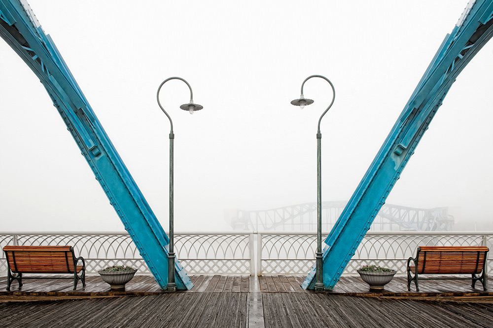 Walnut Posts in Fog art print by Rachel Lee for $57.95 CAD