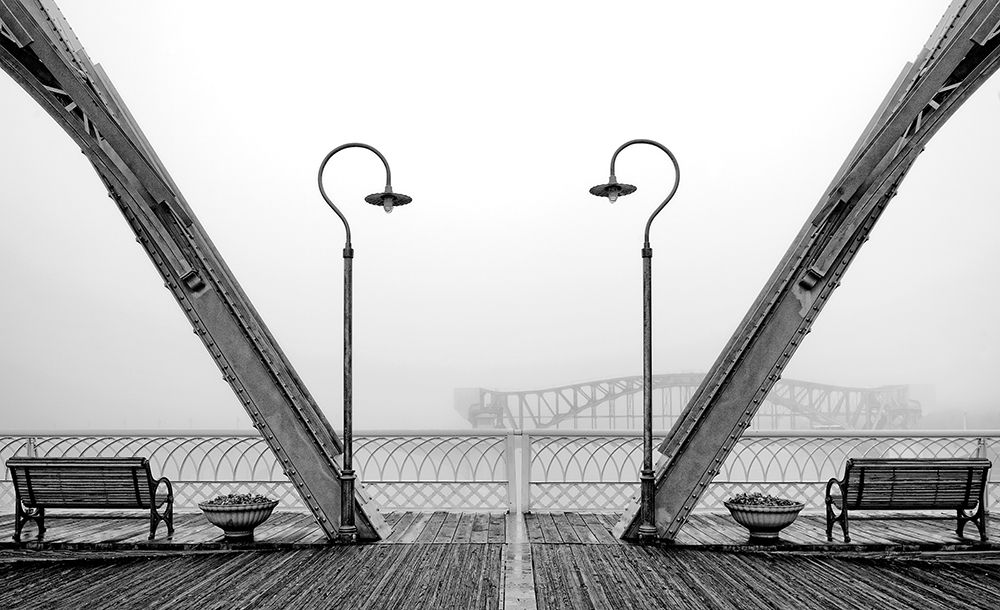 Walnut Posts in Fog BW art print by Rachel Lee for $57.95 CAD